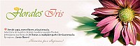 Florales Iris