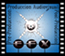 EFX