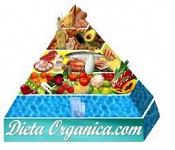 Dieta Organica