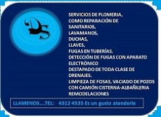 Diversidad de Servicios