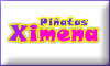 Piñatas Ximena
