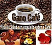 GANOCAFE