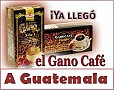 Gano Cafe Guatemala - Gano Excel