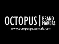 Octopus Guatemala